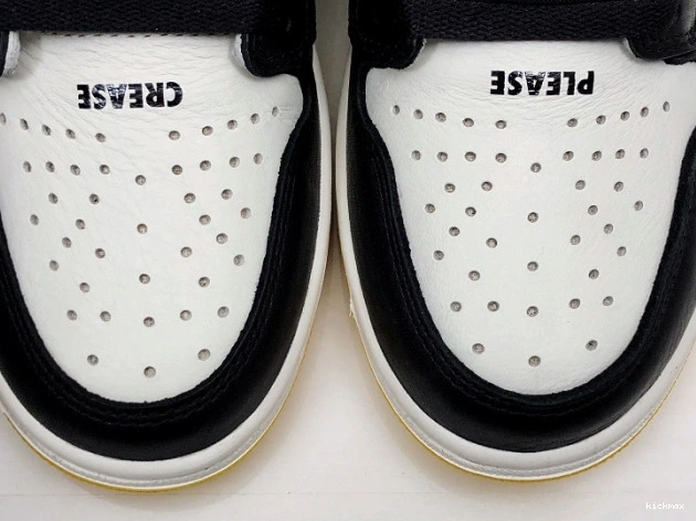 Rep MAX Jordan 